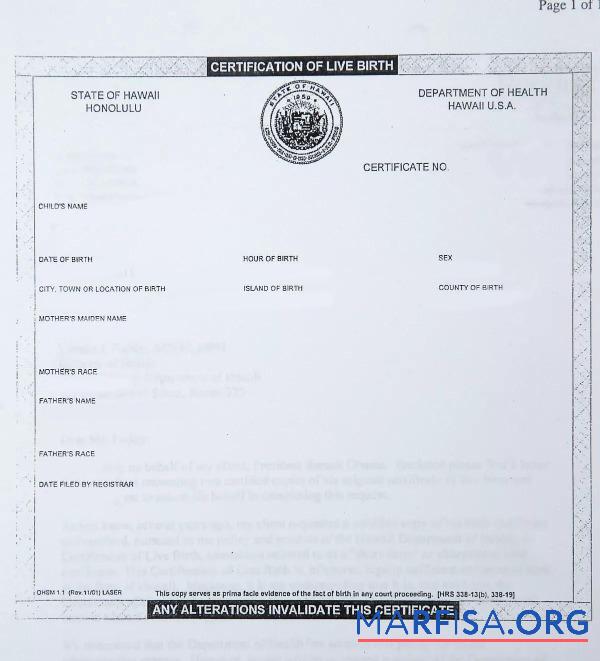 Realistic USA Department of health Hawaii birth certificate template